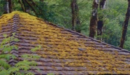 The Challenges Of Roofing In Vancouver
