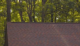 Roofing Repair and Cleaning