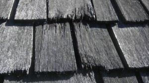 Cracked Black Roof Shingles